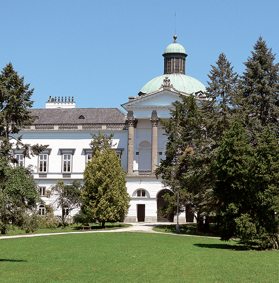 Kistapolcsány